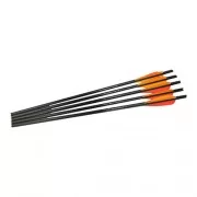 BARNETT стрелы для арбалета 20" Headhunter  Arrows 50 см, (5 шт)
