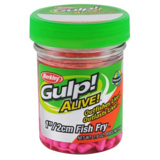 BERKLEY GAJFF1-PK GULP ALIVE FISHFRY 1IN PINK 36 BERKLEY GAJFF1-PK GULP ALIVE FISHFRY 1IN PINK 36