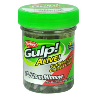 BERKLEY GAJMI1-ES GA MINNOW 1IN EMRLD SHINER MM BERKLEY GAJMI1-ES GA MINNOW 1IN EMRLD SHINER MM