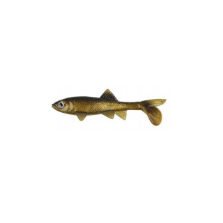 BERKLEY HVMSF3-GLDN HVC SICK FISH 3IN GLDNGGT BERKLEY HVMSF3-GLDN HVC SICK FISH 3IN GLDNGGT