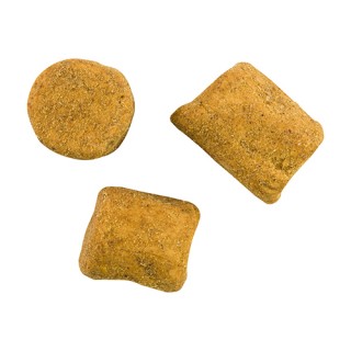 BERKLEY PBCCD-LVRCZ PowerBait Catfsh Liver/Cheese BERKLEY PBCCD-LVRCZ PowerBait Catfsh Liver/Cheese