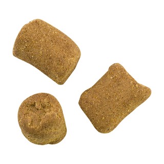 BERKLEY Приманка PowerBait® Catfish Bait Chunks BERKLEY Приманка PowerBait® Catfish Bait Chunks