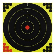 BIRCHWOOD CASEY ShootNC 17.25" Bull'sEye 100 Sheet Pack