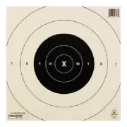 CHAMPION TRAPS AND TARGETS NRA 25Yd Timed Rapid Fire