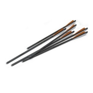 EXCALIBUR карбоновые стрелы для арбалета 20" Carbon Arrows Firebolt (6 шт) EXCALIBUR карбоновые стрелы для арбалета 20" Carbon Arrows Firebolt (6 шт)