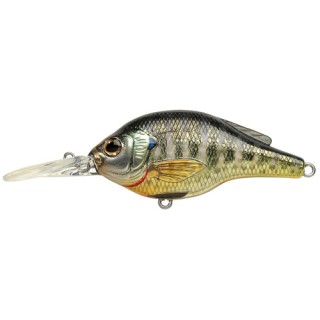 LIVETARGET LURES Воблер Bluegill FS Roundbill LIVETARGET LURES Воблер Bluegill FS Roundbill