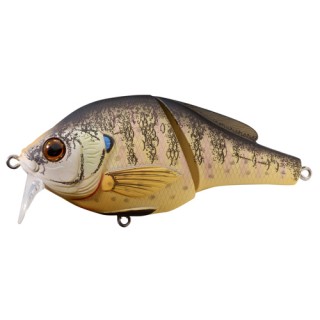 LIVETARGET LURES Bluegill Wakebait,tte,#2 LIVETARGET LURES Bluegill Wakebait,tte,#2