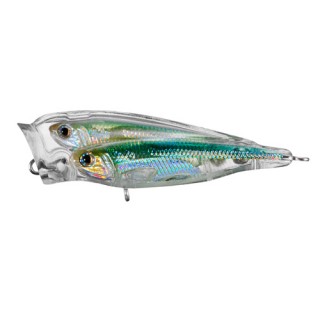 LIVETARGET LURES GM Juvenille BB Popper,silver/green,#4 LIVETARGET LURES GM Juvenille BB Popper,silver/green,#4