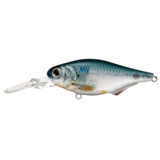 LIVETARGET LURES Gizzard Shad Crankbait,ghost/green,#6 LIVETARGET LURES Gizzard Shad Crankbait,ghost/green,#6