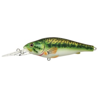 LIVETARGET LURES Largemouth Bass Crankbait,natural/matte,6 LIVETARGET LURES Largemouth Bass Crankbait,natural/matte,6