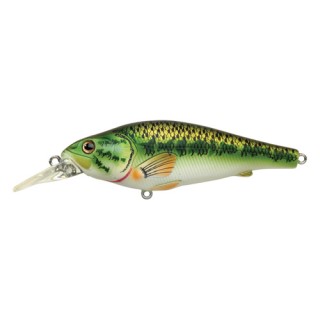 LIVETARGET LURES Largemouth Bass Crankbait,natural/matte,4 LIVETARGET LURES Largemouth Bass Crankbait,natural/matte,4