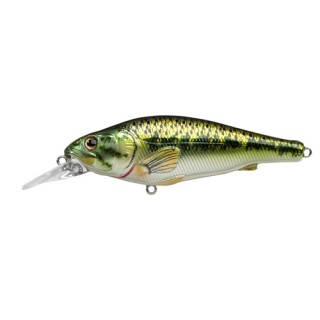 LIVETARGET LURES Воблер Largemouth Bass LIVETARGET LURES Воблер Largemouth Bass