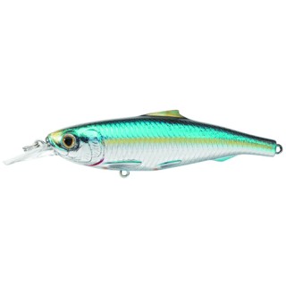 LIVETARGET LURES Spanish Sardine Jerkbait,Slvr/blue/Grn,#1 LIVETARGET LURES Spanish Sardine Jerkbait,Slvr/blue/Grn,#1
