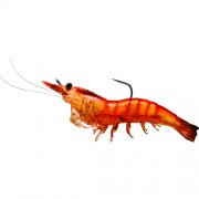 LIVETARGET LURES Rigged Shrimp Soft Plastic,pnk shrimp,1/0