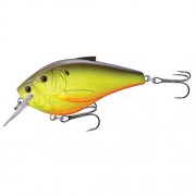 LIVETARGET LURES Threadfin Shad CB,SD,chartreuse/Blk1/0
