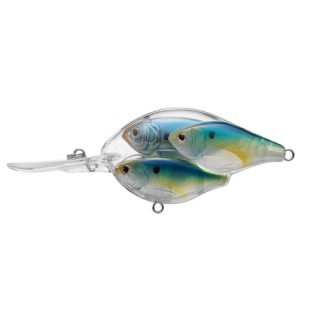 LIVETARGET LURES TS Juvenile BB SB,pearl/blu/chrtruse,6,MD LIVETARGET LURES TS Juvenile BB SB,pearl/blu/chrtruse,6,MD