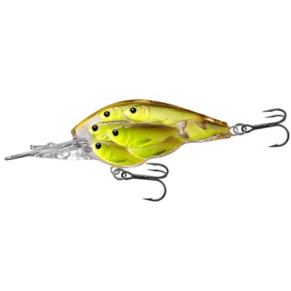 LIVETARGET LURES Yearling BB Crankbait,chartruese/Blk,#4 LIVETARGET LURES Yearling BB Crankbait,chartruese/Blk,#4