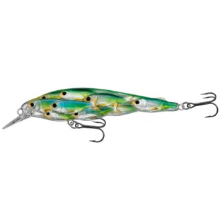 LIVETARGET LURES Yearling BB Jerkbait,blu/chrtruse shad,#4 LIVETARGET LURES Yearling BB Jerkbait,blu/chrtruse shad,#4