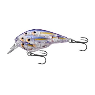 LIVETARGET LURES Yearling BB Squarebill,pearl/violt shad,4 LIVETARGET LURES Yearling BB Squarebill,pearl/violt shad,4