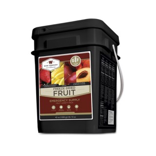 WISE сублимированные фрукты Freezed Dried Fruit, 152 порции WISE сублимированные фрукты Freezed Dried Fruit, 152 порции