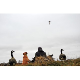 DOKKEN DOG SUPPLY Дрон для тренировки собак Training Drone