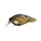 LIVETARGET LURES Воблер Crawfish Squarebill
