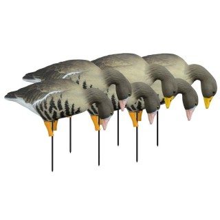 HIGDON OUTDOORS Комплект чучел белолобого гуся Apex Full-Size Full-Body Specklebelly 6 шт HIGDON OUTDOORS Комплект чучел белолобого гуся Apex Full-Size Full-Body Specklebelly 6 шт