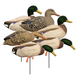 Higdon Outdoors Комплект чучел кряквы Magnum Full Body Mallard Variety Pack Flocked Heads 6 шт Higdon Outdoors Комплект чучел кряквы Magnum Full Body Mallard Variety Pack Flocked Heads 6 шт