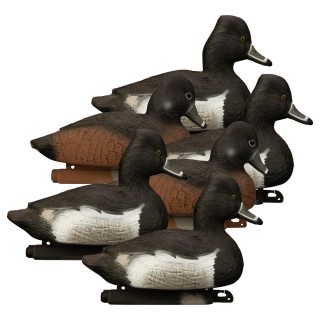 Higdon Outdoors Комплект пуленепробиваемых чучел чернети кольчатой Standard Ring Neck Foam Filled 6 шт Higdon Outdoors Комплект пуленепробиваемых чучел чернети кольчатой Standard Ring Neck Foam Filled 6 шт