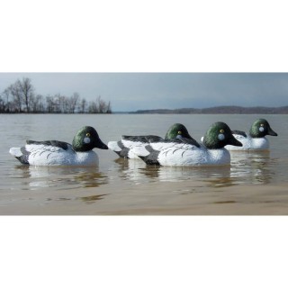 Higdon Outdoors Комплект пуленепробиваемых чучел гоголя селезня Standard Goldeneye Foam Filled Drakes 6 шт Higdon Outdoors Комплект пуленепробиваемых чучел гоголя селезня Standard Goldeneye Foam Filled Drakes 6 шт