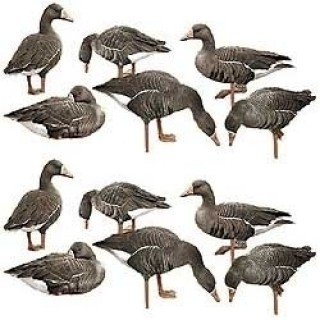 REAL GEESE профиля белолобого гуся Magnum-Lite 3D. (12 шт) REAL GEESE профиля белолобого гуся Magnum-Lite 3D. (12 шт)