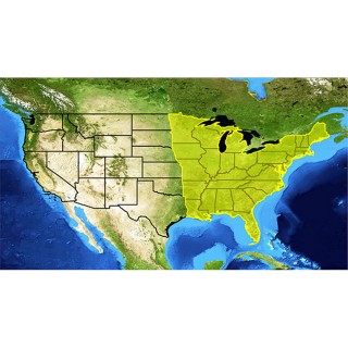 Lowrance Lake Insight HD East V16 Lowrance Lake Insight HD East V16