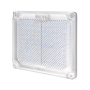 QUICK Двухцветный светодиодный светильник Action Bicolor LED Light