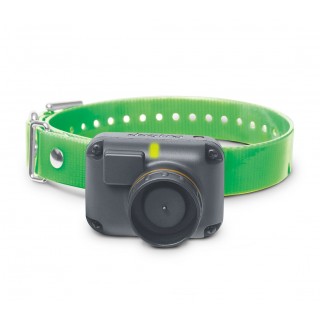 DOGTRA Дополнительный ошейник T&B Additional Receiver DOGTRA Дополнительный ошейник T&B Additional Receiver