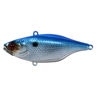 JACKALL LURES TN 60 HL Blueback Chrome JACKALL LURES TN 60 HL Blueback Chrome