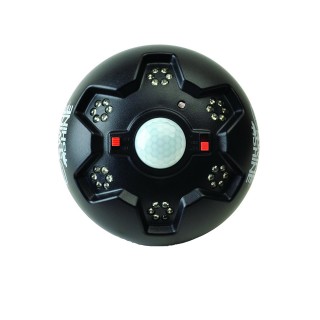 American Hunter Swine Shine Hog Light American Hunter Swine Shine Hog Light